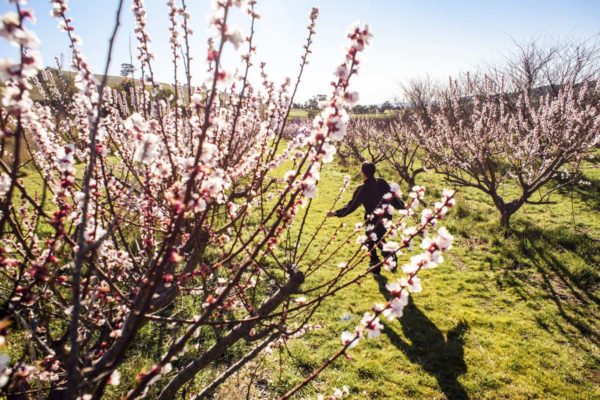 Bacchus Marsh Grammar - Staughton Vale Campus