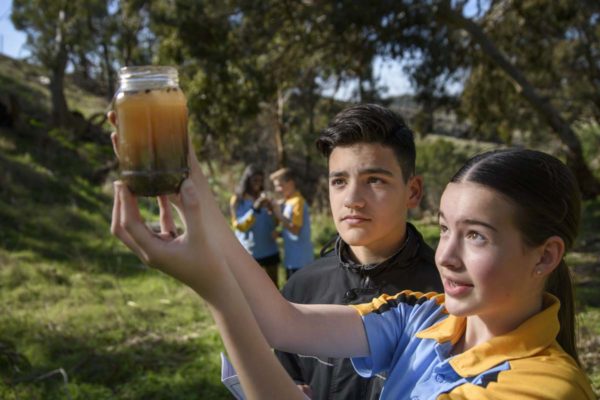 Students engaging in Outdoors Biology & Ecology at Staughton Vale