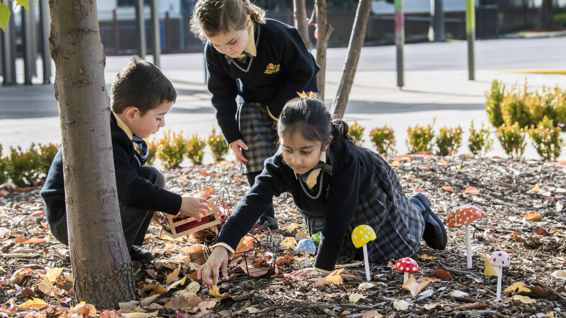 An Education for Life