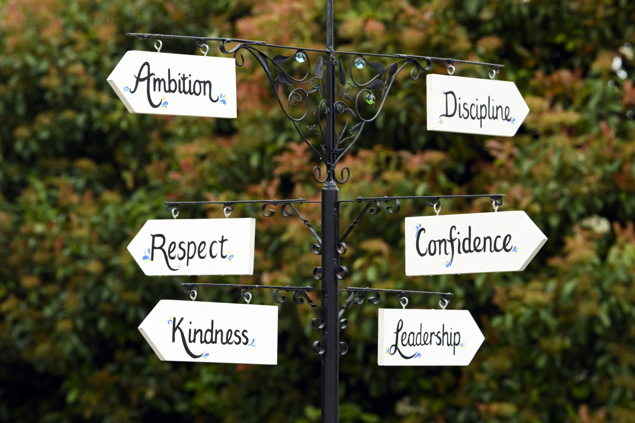 An Education for Life