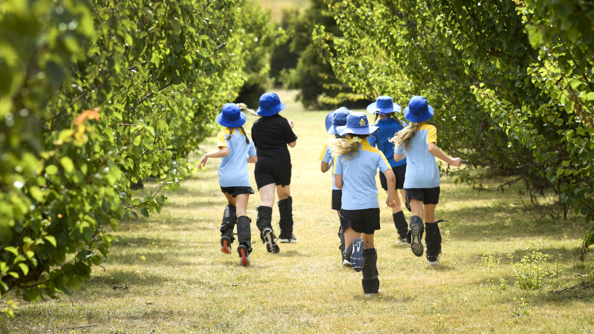 An Education for Life